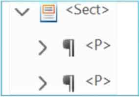 Screenshot of the tags panel showing the 'SECT' tag as the parent element to two 'P' tags, each with its paragraph symbol (¶).