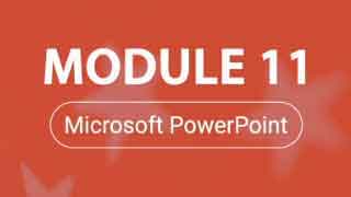 Module 11: Ensuring Descriptions of Embedded Audio, Video and Multimedia Files are Accurate